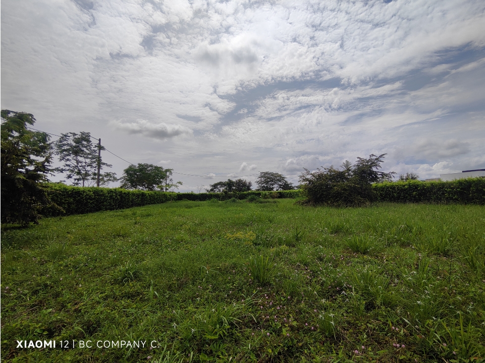 VENTA LOTE CON TRES FRENTES EN CONDOMINIO TURPIALES YOPAL. — foto 5