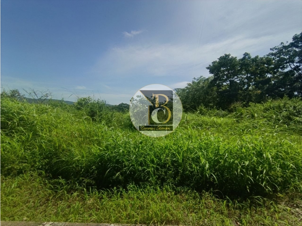LOTE EN VENTA CONJUNTO PRIVADO TIERRA DE FLORES — foto 5