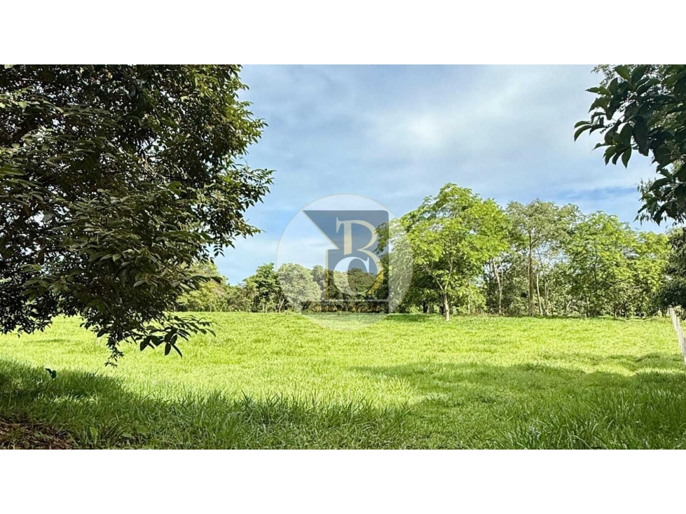 VENTA DE TERRENO DE DOS HECTAREAS + 2.624 MT2 VEREDA LA GUAFILLA YOPAL