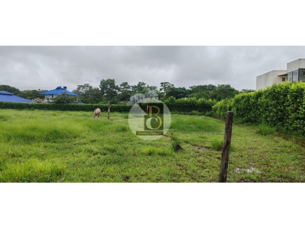 LOTE EN VENTA 3ER CRUCE VÍA MATEPANTANO Y SIRIVANA YOPAL — foto 3