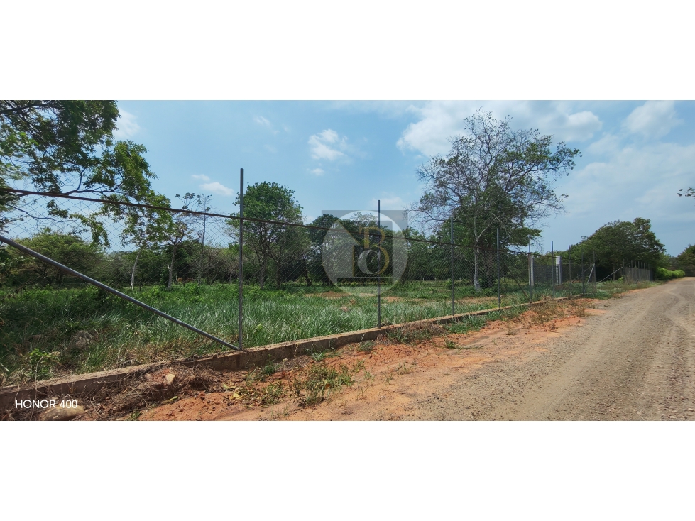 VENTA DE LOTE DE 1000 M2 VEREDA PALOBAJITO YOPAL — foto 3