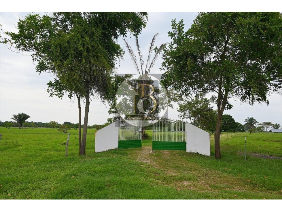 En Venta Finca Ganadera Tecnificada - PAZ DE ARIPORO, CASANARE - 2