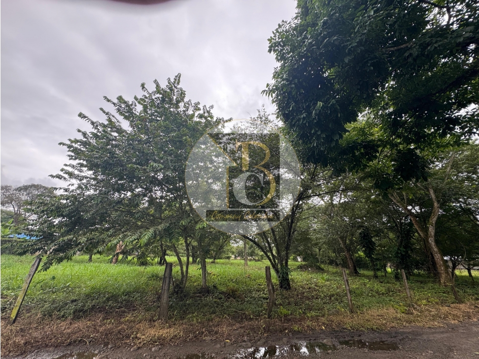 EN VENTA LOTE KM 3 VIA SIRIVANA - YOPAL — foto 4