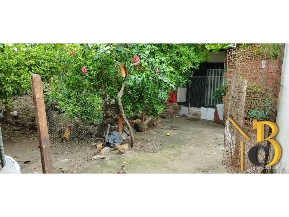 VENTA DE CASA LOTE CON PROYECCION BARRIO LA ESPERANZA YOPAL — foto 6