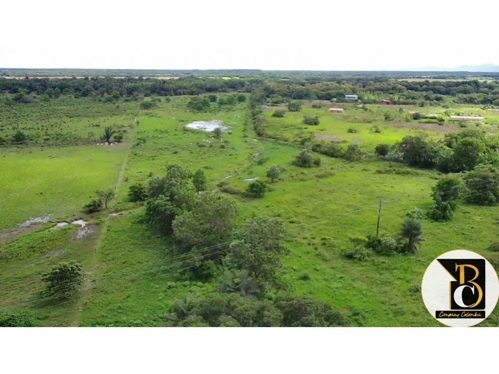 SE VENDE 8 HECTÁREAS + 3.162,73 M2 EN LA VEREDA PALOMAS (YOPAL) - 4