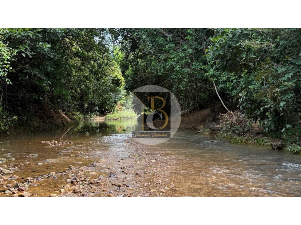 VENTA DE TERRENO DE DOS HECTAREAS + 2.624 MT2 VEREDA LA GUAFILLA YOPAL — foto 2