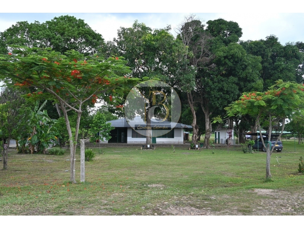 En Venta Finca Ganadera Tecnificada - PAZ DE ARIPORO, CASANARE - 5