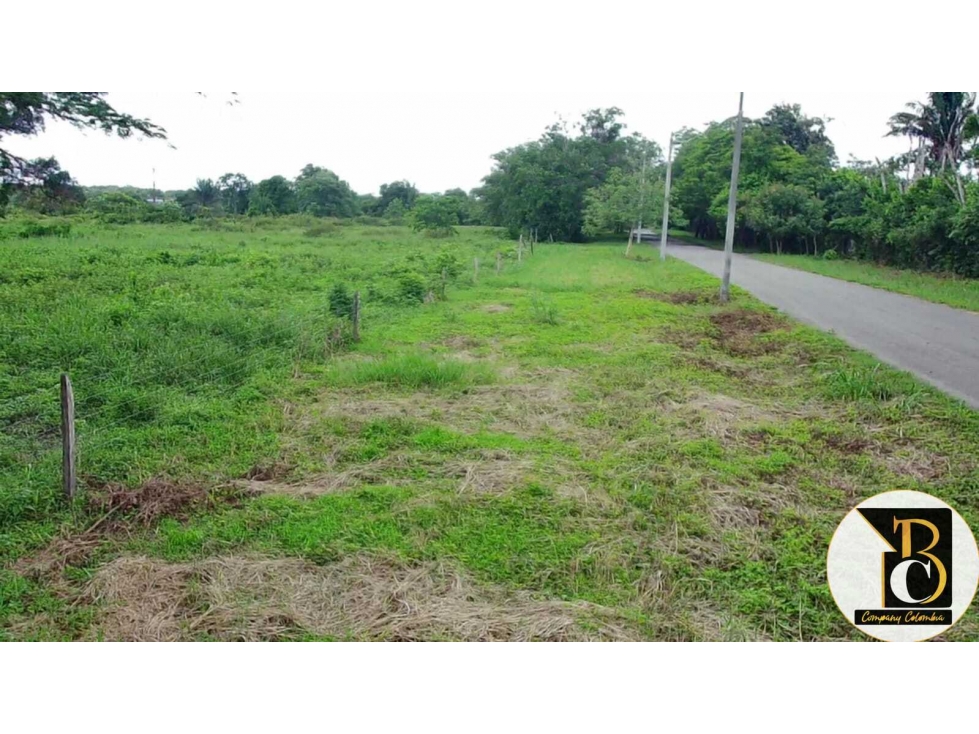 SE VENDE 8 HECTÁREAS + 3.162,73 M2 EN LA VEREDA PALOMAS (YOPAL) - 1