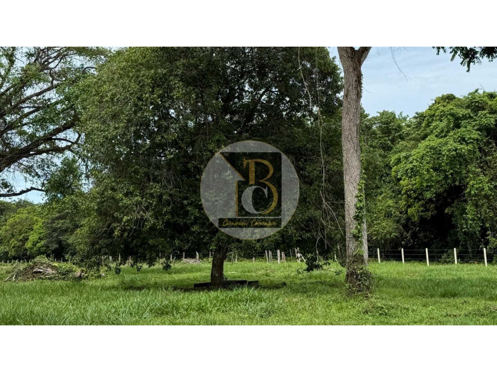 VENTA DE TERRENO DE DOS HECTAREAS + 2.624 MT2 VEREDA LA GUAFILLA YOPAL — foto 3