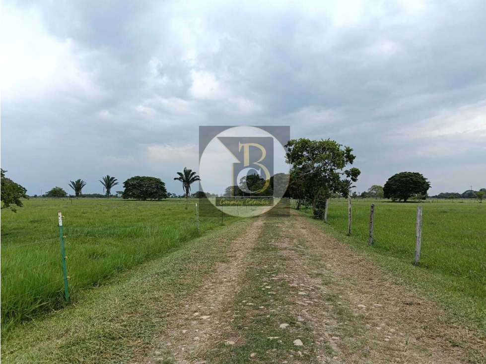 En Venta Finca Ganadera Tecnificada - PAZ DE ARIPORO, CASANARE - 4