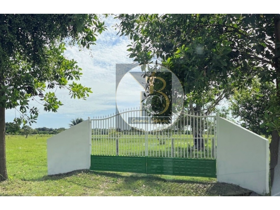 En Venta Finca Ganadera Tecnificada - PAZ DE ARIPORO, CASANARE - 1