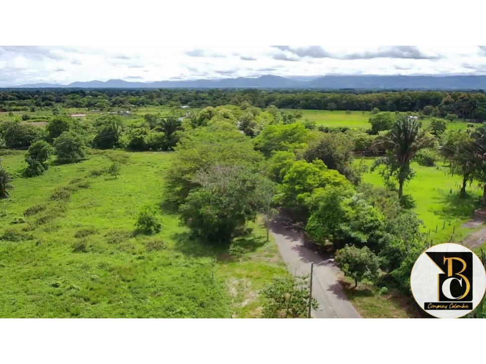 SE VENDE 8 HECTÁREAS + 3.162,73 M2 EN LA VEREDA PALOMAS (YOPAL) - 5