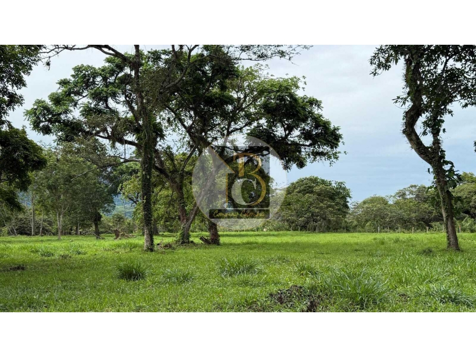 VENTA DE TERRENO DE DOS HECTAREAS + 2.624 MT2 VEREDA LA GUAFILLA YOPAL — foto 4