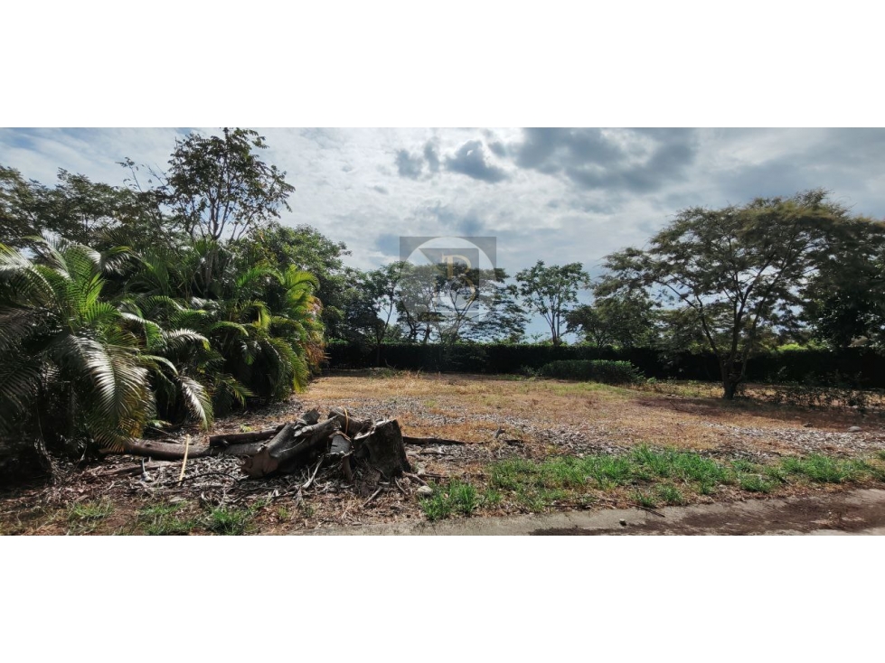 VENTA DE LOTE EN HACIENDA LAS MARGARITAS 1.5 KM VIA SIRIVANA — foto 6