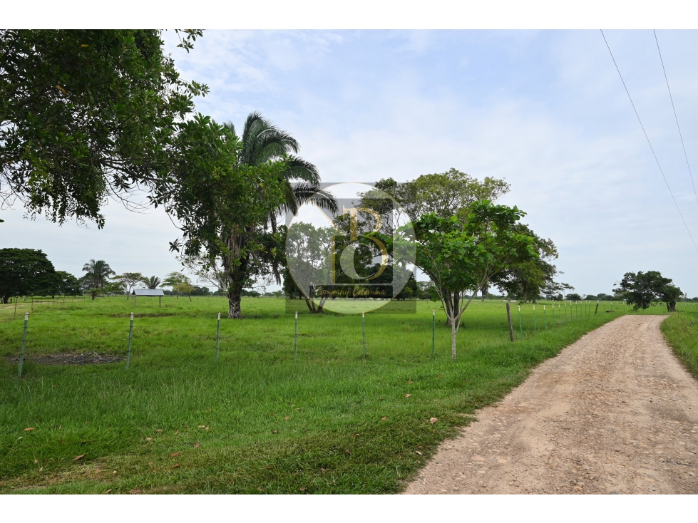 En Venta Finca Ganadera Tecnificada - PAZ DE ARIPORO, CASANARE - 3