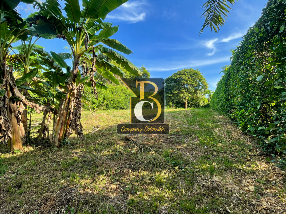 SE VENDEN LOTE 2 Y 3 VIA SIRIVANA, PUNTO NUEVO, CAMPO ALEGRE — foto 4