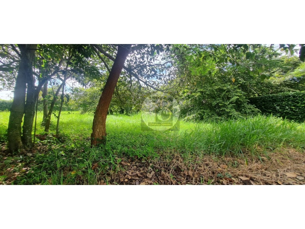 VENTA DE LOTE 3007M2 EN CONDOMINIO TURPIALES KM 5 DESDE SUBASTA — foto 3