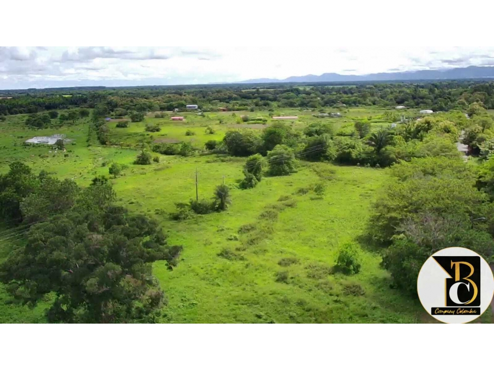 SE VENDE 8 HECTÁREAS + 3.162,73 M2 EN LA VEREDA PALOMAS (YOPAL) - 6