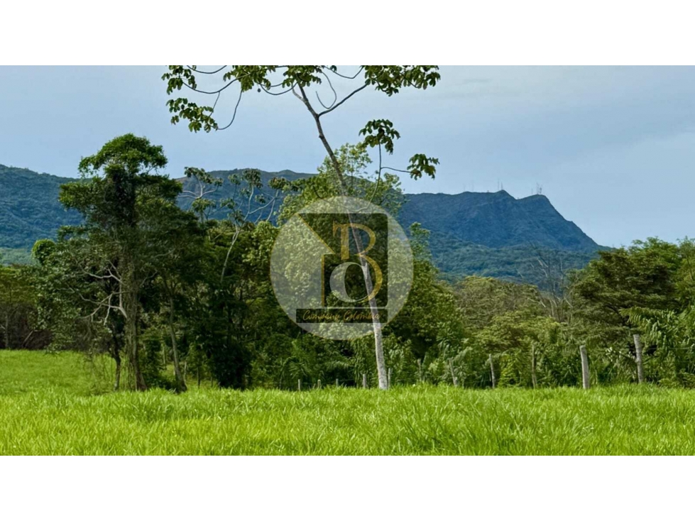 VENTA DE TERRENO DE DOS HECTAREAS + 2.624 MT2 VEREDA LA GUAFILLA YOPAL — foto 5