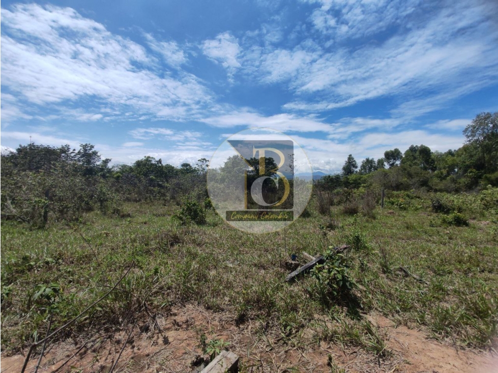 LOTE EN VENTA (PARQUE INDUSTRIAL LA VILLA) VÍA MORICHAL YOPAL — foto 2