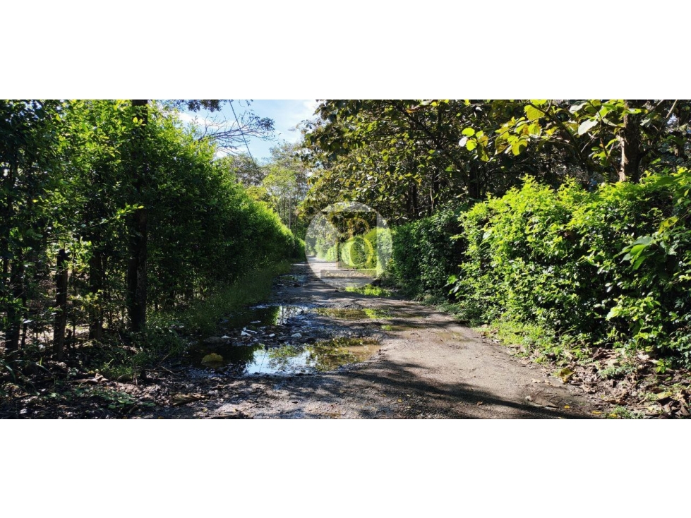 VENTA DE LOTE SANTA ANA CON AREA DE 1000M2 KM 3 VIA SIRIVANA YOPAL — foto 3