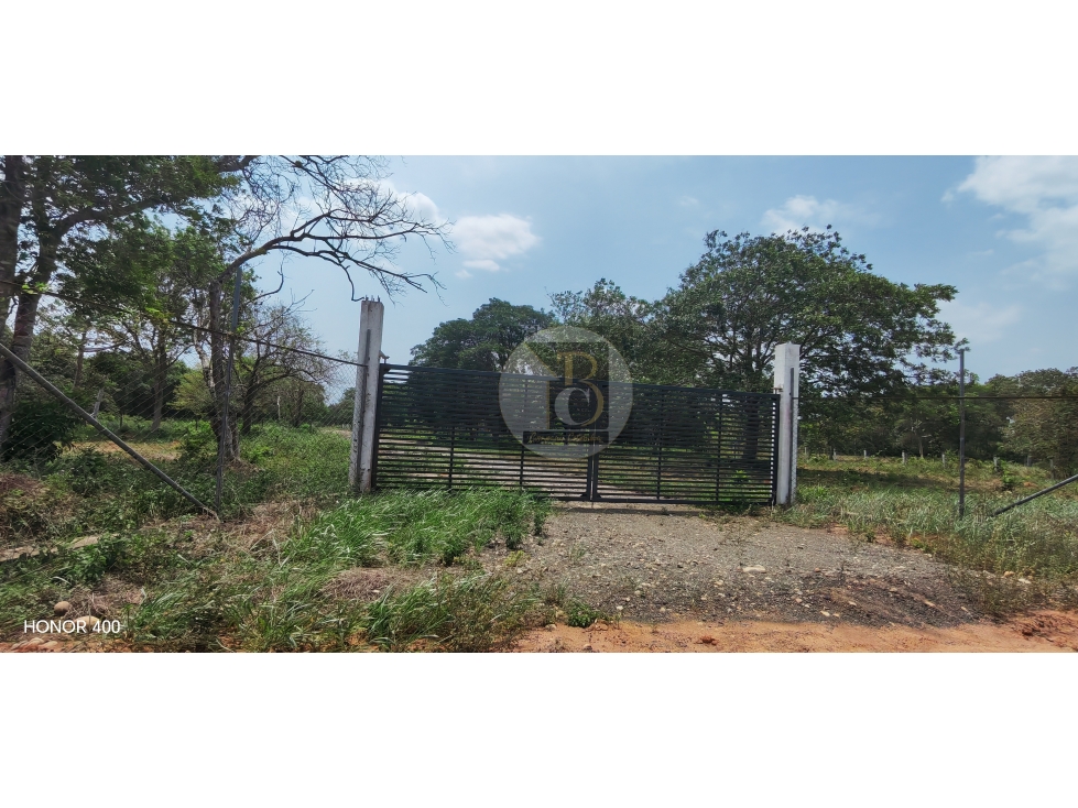 VENTA DE LOTE DE 1000 M2 VEREDA PALOBAJITO YOPAL — foto 5