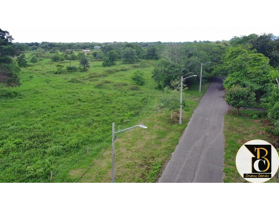 SE VENDE 8 HECTÁREAS + 3.162,73 M2 EN LA VEREDA PALOMAS (YOPAL) - 2