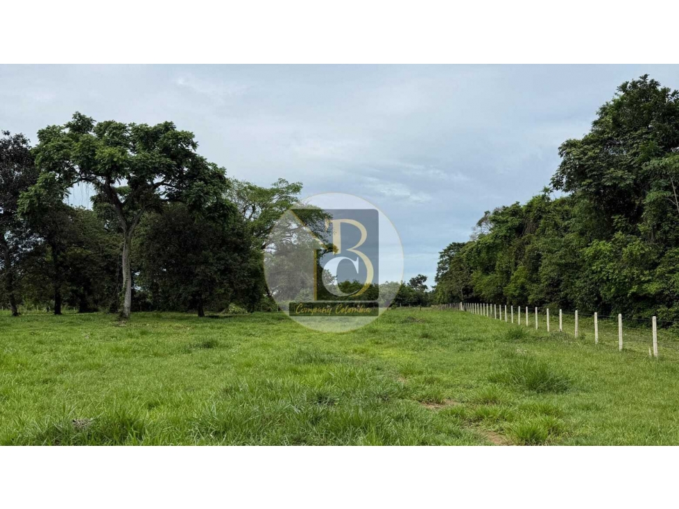 VENTA DE TERRENO DE DOS HECTAREAS + 2.624 MT2 VEREDA LA GUAFILLA YOPAL — foto 6