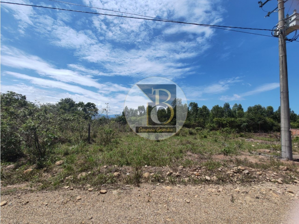 LOTE EN VENTA (PARQUE INDUSTRIAL LA VILLA) VÍA MORICHAL YOPAL