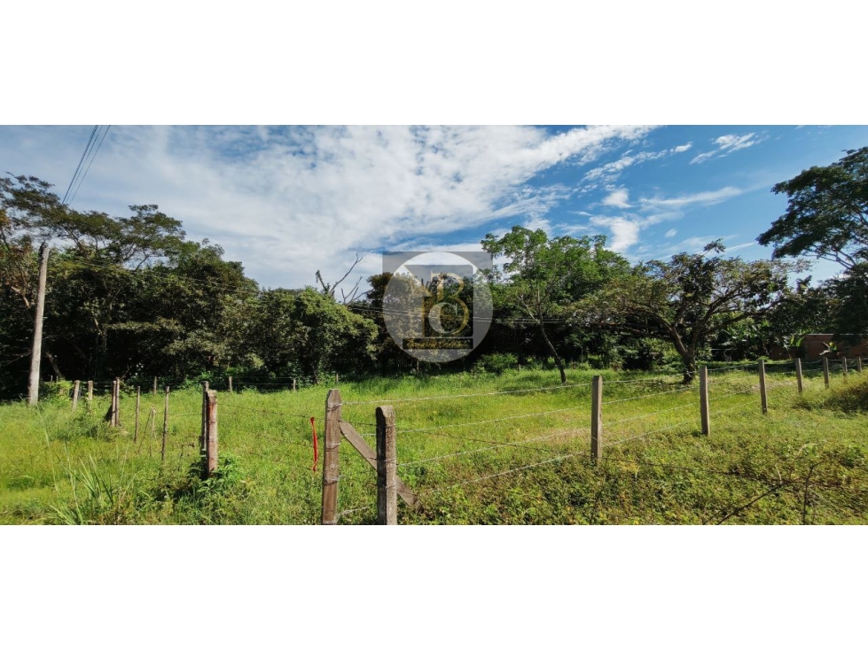 VENTA DE LOTE SANTA ANA CON AREA DE 1000M2 KM 3 VIA SIRIVANA YOPAL — foto 4