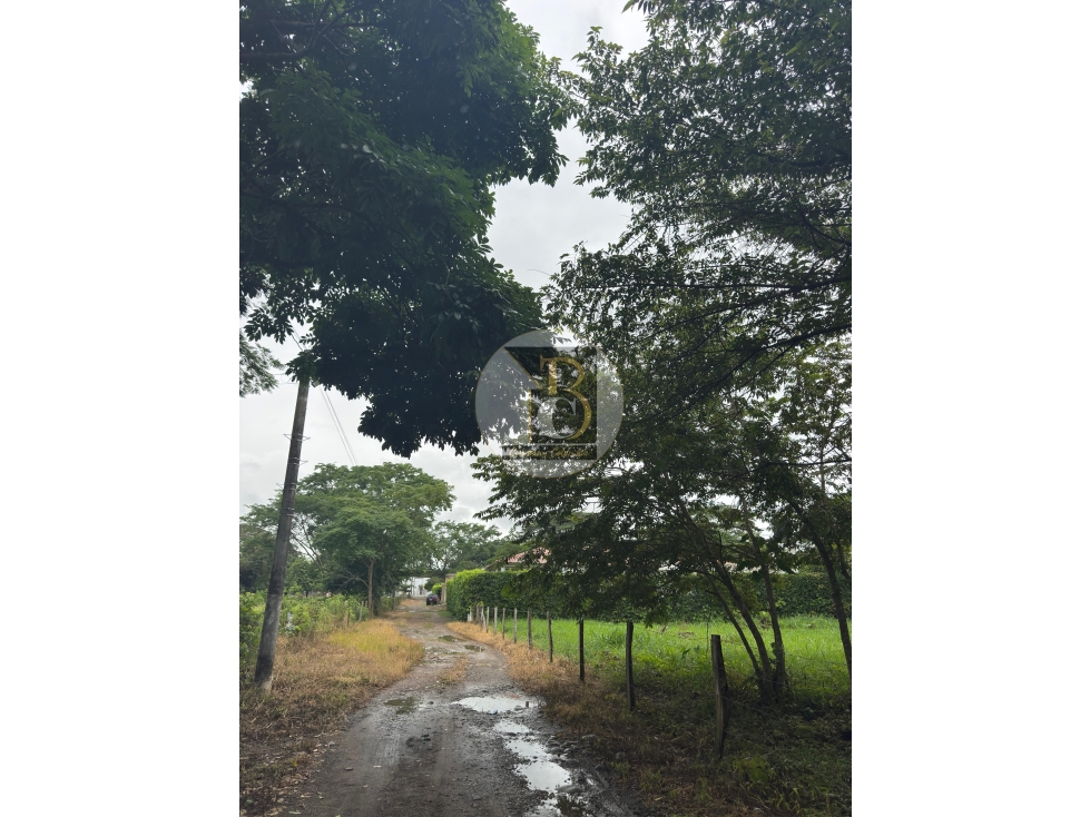 EN VENTA LOTE KM 3 VIA SIRIVANA - YOPAL — foto 5