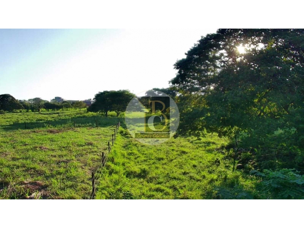 SE VENDE LOTE PARA USO MIXTO FRENTE COLEGIO BRAULIO GONZALEZ CAM — foto 4