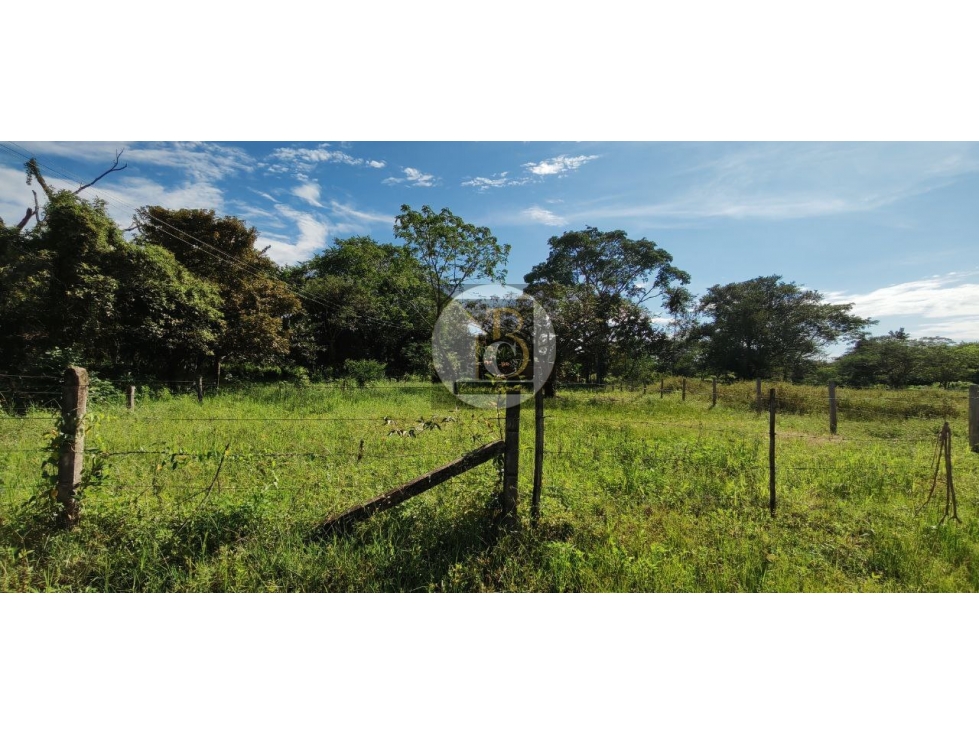 VENTA DE LOTE SANTA ANA CON AREA DE 1000M2 KM 3 VIA SIRIVANA YOPAL — foto 5