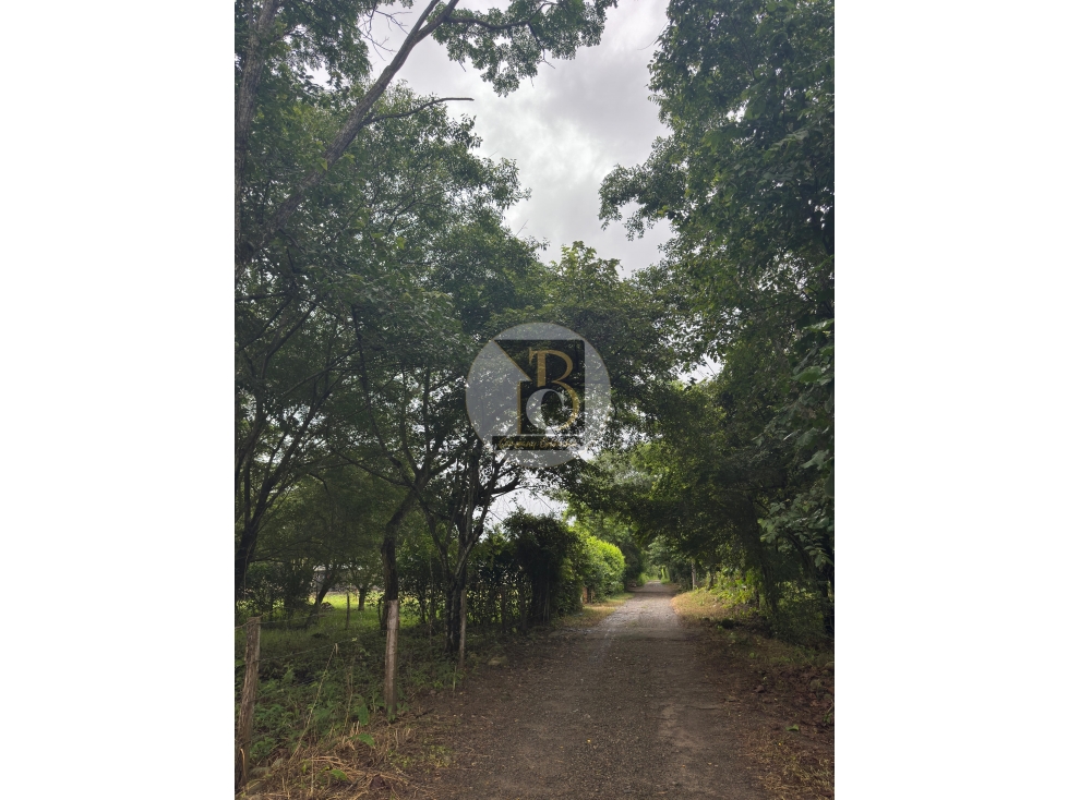 EN VENTA LOTE KM 3 VIA SIRIVANA - YOPAL — foto 6