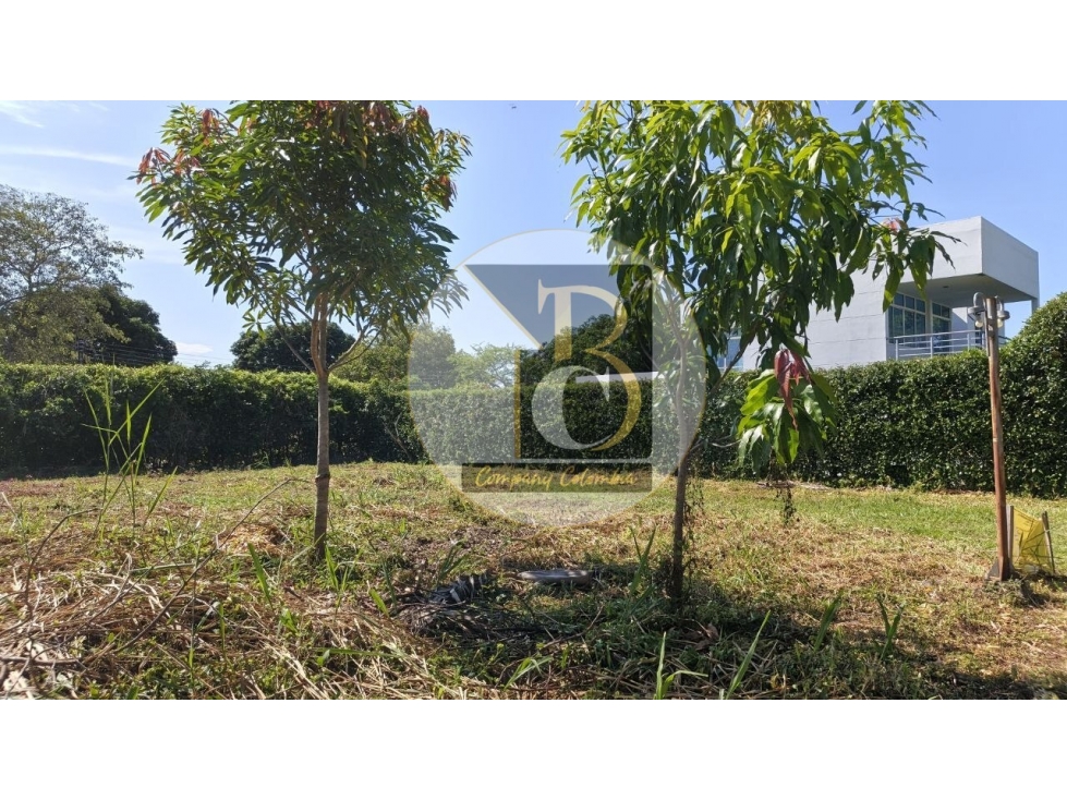 OPORTUNIDAD LOTE EN VENTA CONJUNTO PASO REAL — foto 5