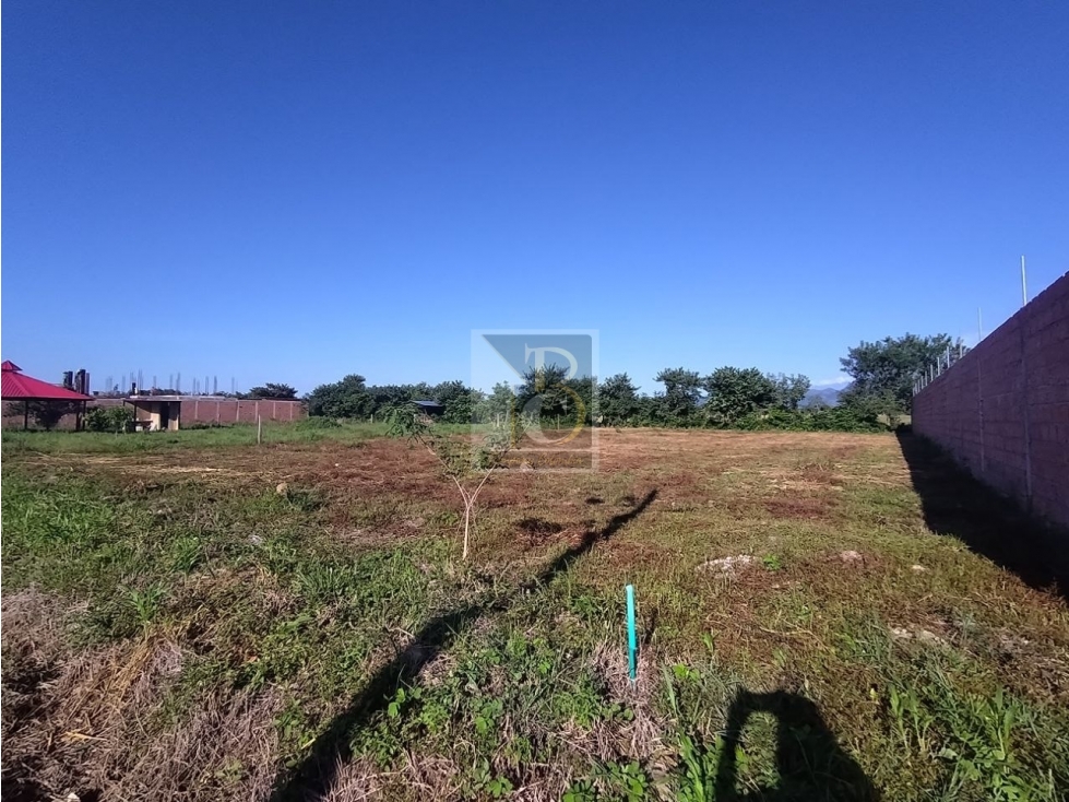 VENTA LOTE N°2 PORTENTOS DE SIRIVANA KLM 6 VIA MATEPANTANO — foto 5