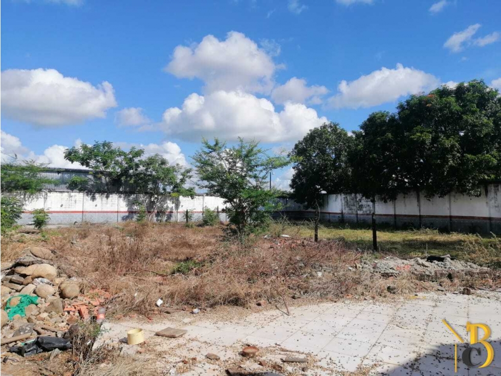 VENTA LOTE COMERCIAL CALLE 30 YOPAL — foto 3