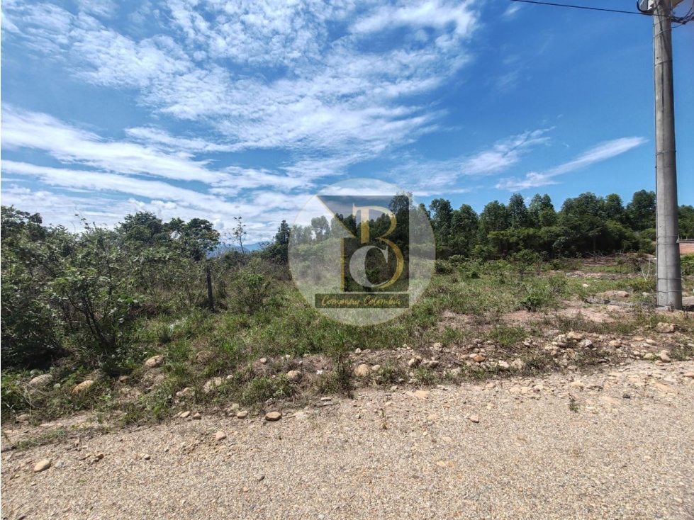 LOTE EN VENTA (PARQUE INDUSTRIAL LA VILLA) VÍA MORICHAL YOPAL — foto 3