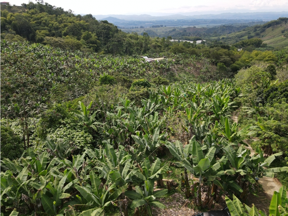 Se vende finca-lote cerca a Buenavista ideal para turismo o vivienda - 2