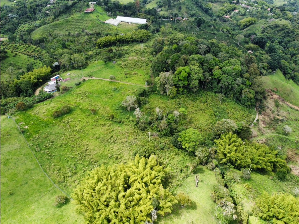 Finca en venta sector Circasia — foto 6