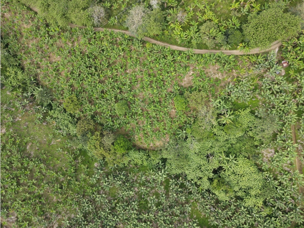 Se vende finca-lote cerca a Buenavista ideal para turismo o vivienda - 6