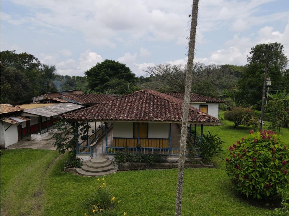Finca en BuenaVista Quindio en venta - 3