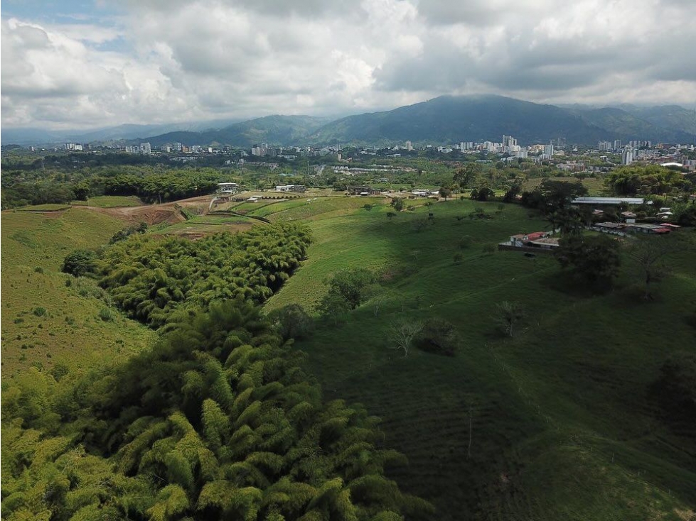 Lote en venta sector Circasia Vereda Hojas Anchas