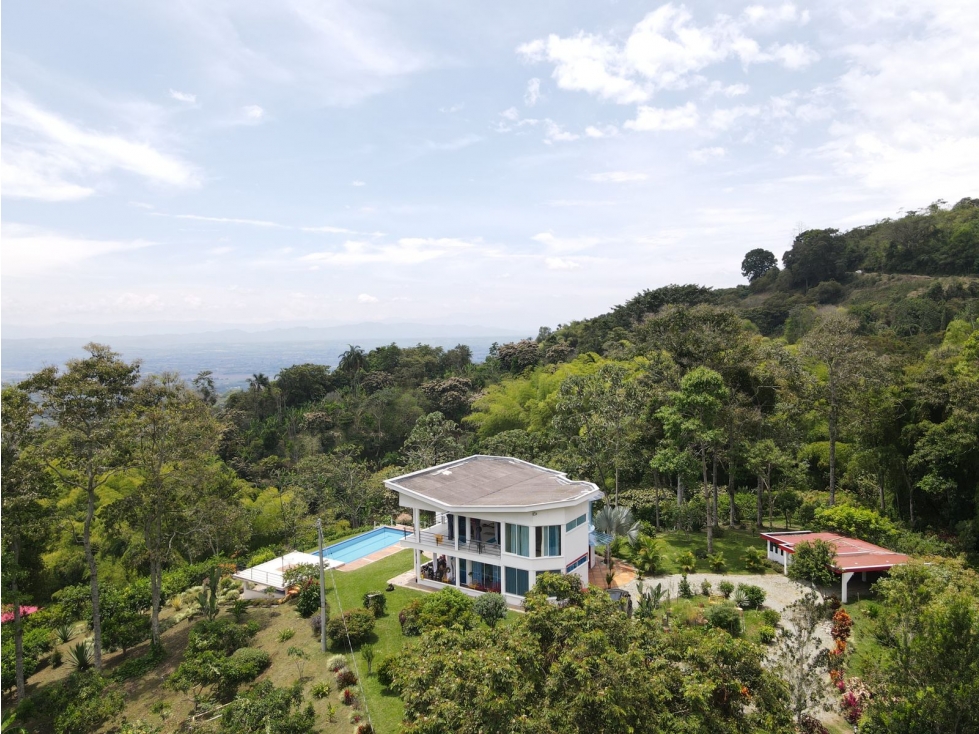 Finca de 3.5 cuadras en venta sector Buenavista Quindío - 4