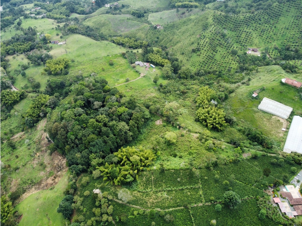 Finca en venta sector Circasia — foto 5