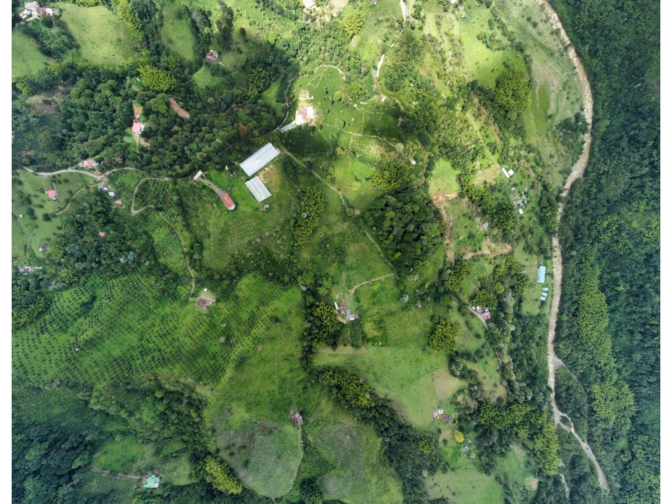 Finca en venta sector Circasia — foto 4