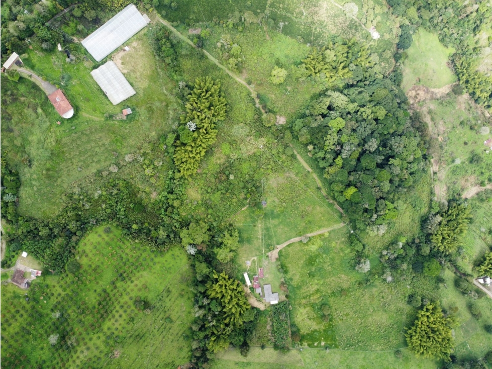 Finca en venta sector Circasia — foto 3