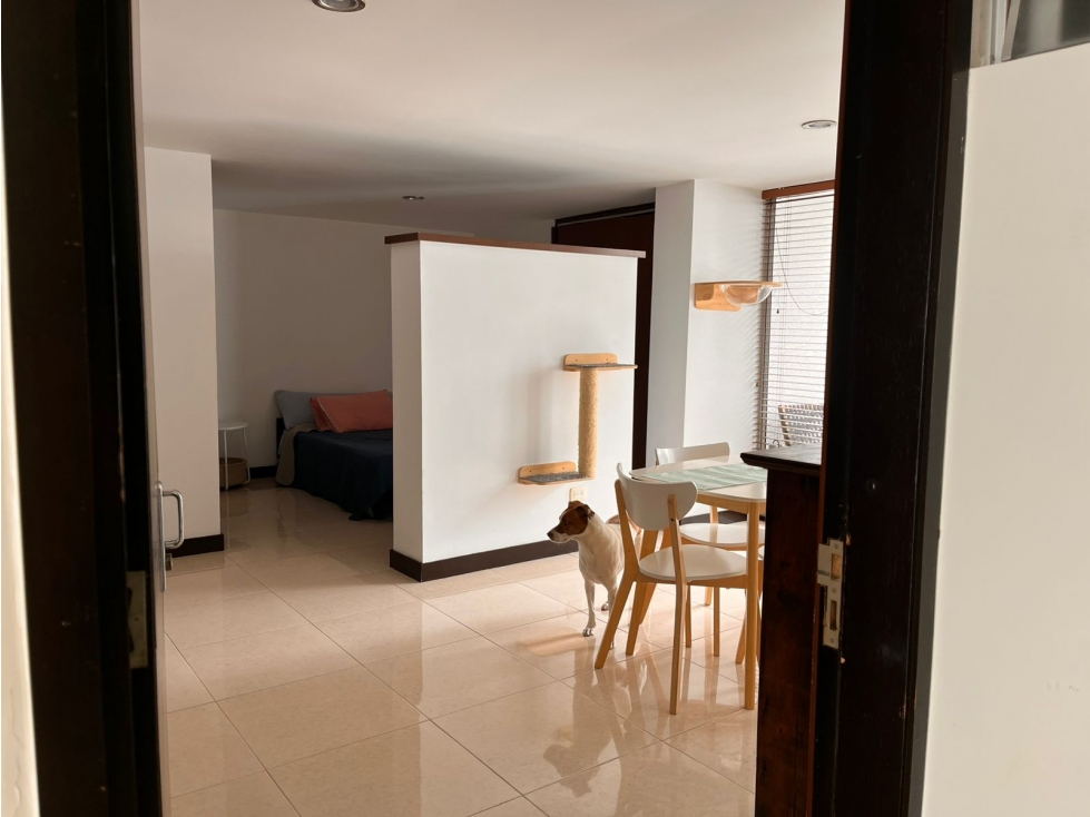 Apartaestudio en arriendo sector Castellana — foto 6