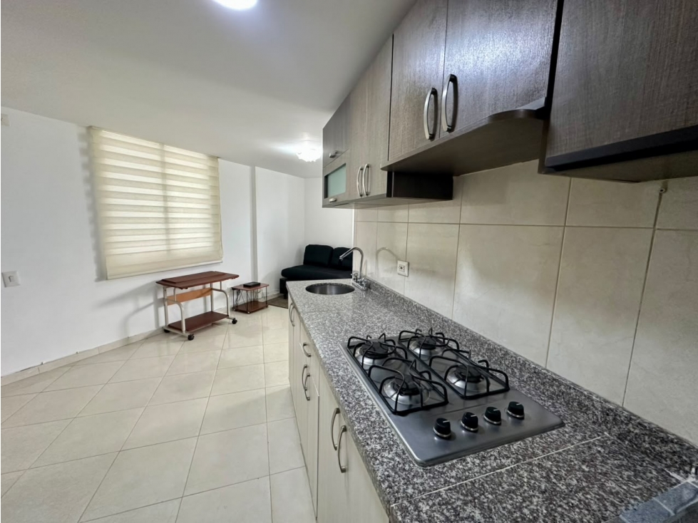 Apartamento en arriendo AMOBLADO sector Av 19 Norte