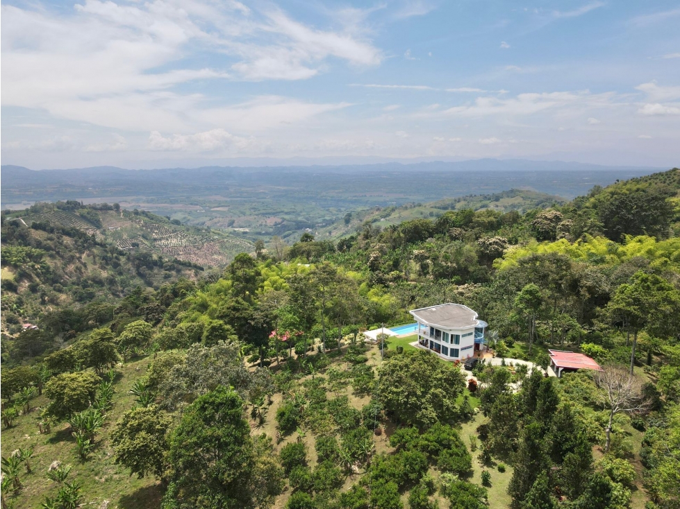 Finca de 3.5 cuadras en venta sector Buenavista Quindío - 5